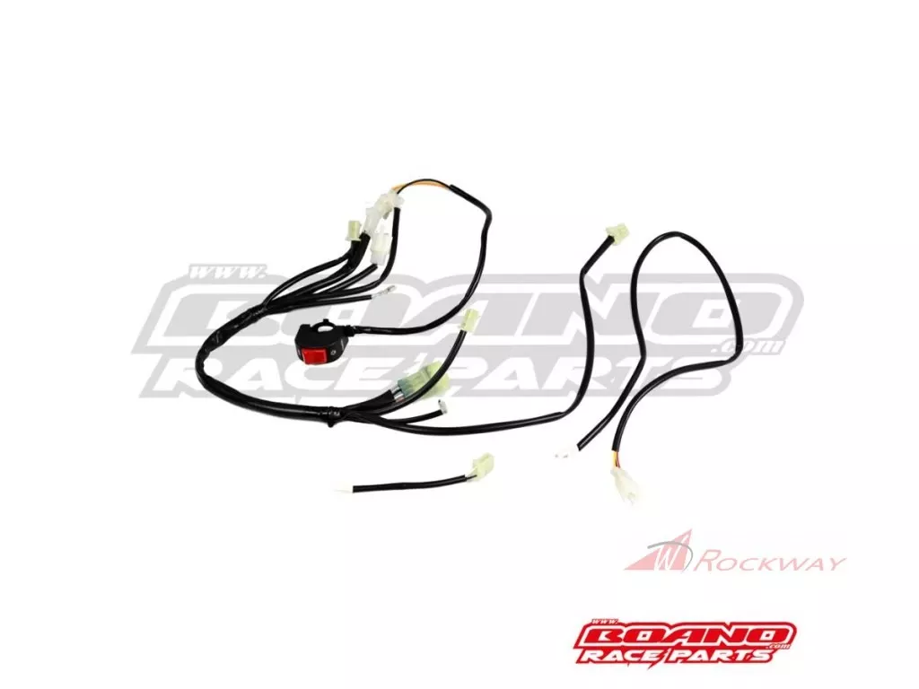 impianto Racing Beta RR 4T 20-25 BOANO