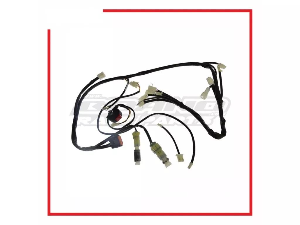 impianto Racing RR 2T 300 RACE 24-25 BOANO